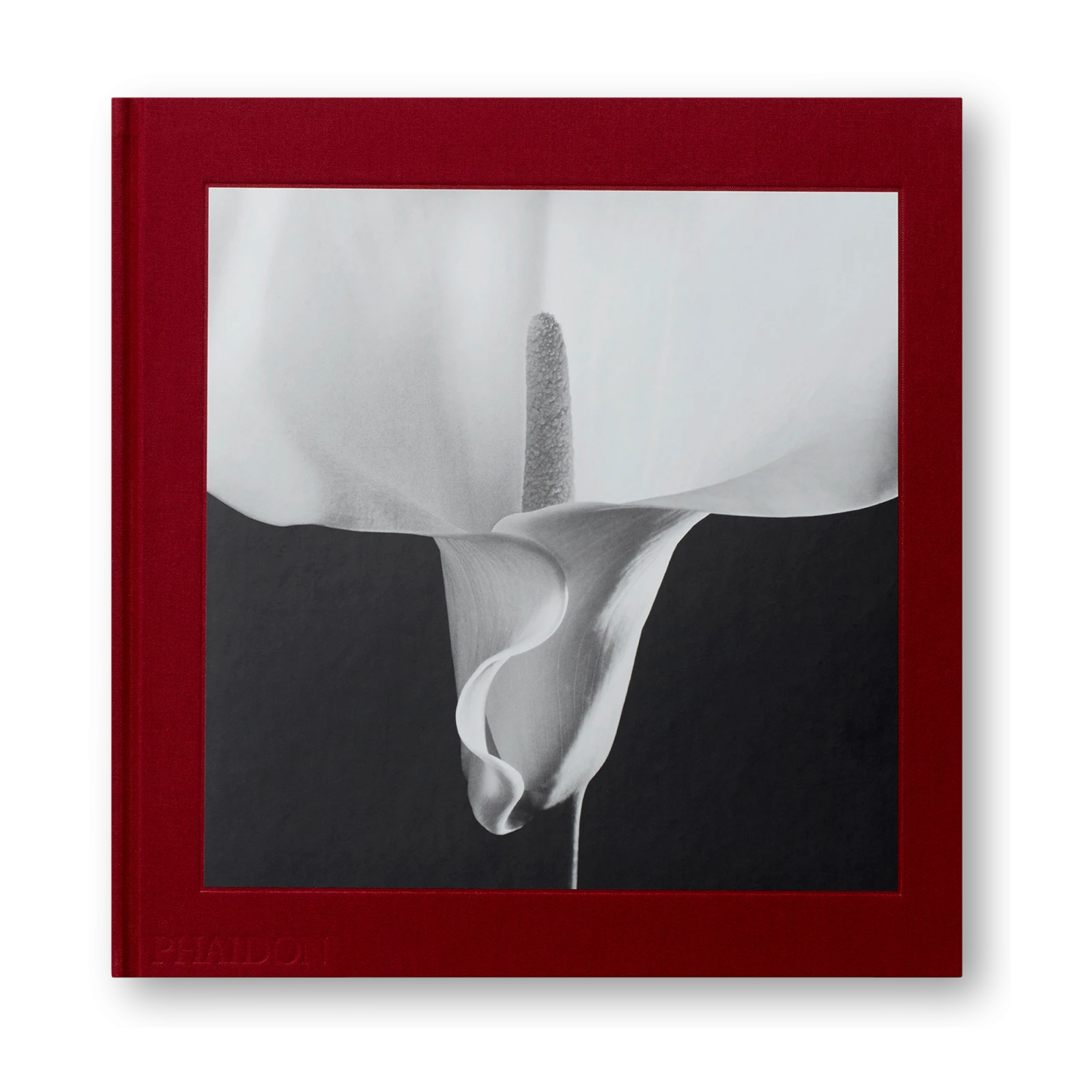 mapplethorpe-flora-the-complete-flowers-1