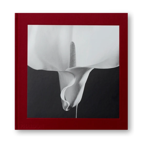 Phaidon - Mapplethorpe Flora: The Complete Flowers | Gessato