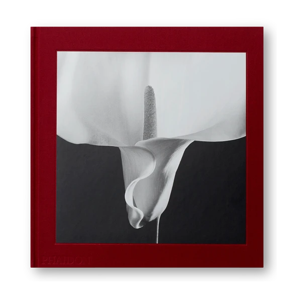 mapplethorpe-flora-the-