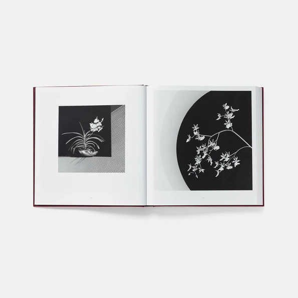 Phaidon - Mapplethorpe Flora: The Complete Flowers | Gessato