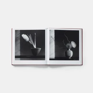 mapplethorpe-flora-the-complete-flowers-4