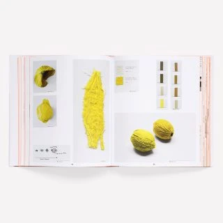 scholten-baijings-book-gessato-7