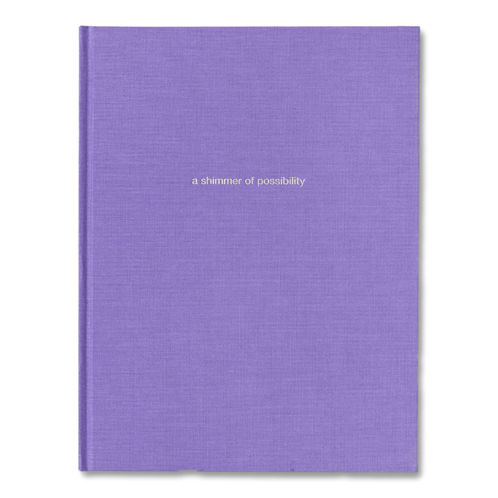 a-shimmer-of-possibility-paul-graham-1