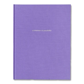 a-shimmer-of-possibility-paul-graham-1