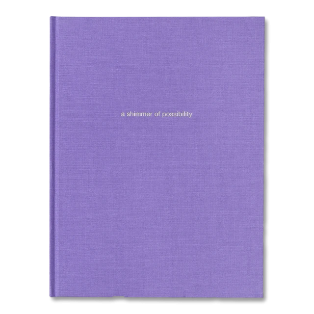 a-shimmer-of-possibility-paul-graham-1