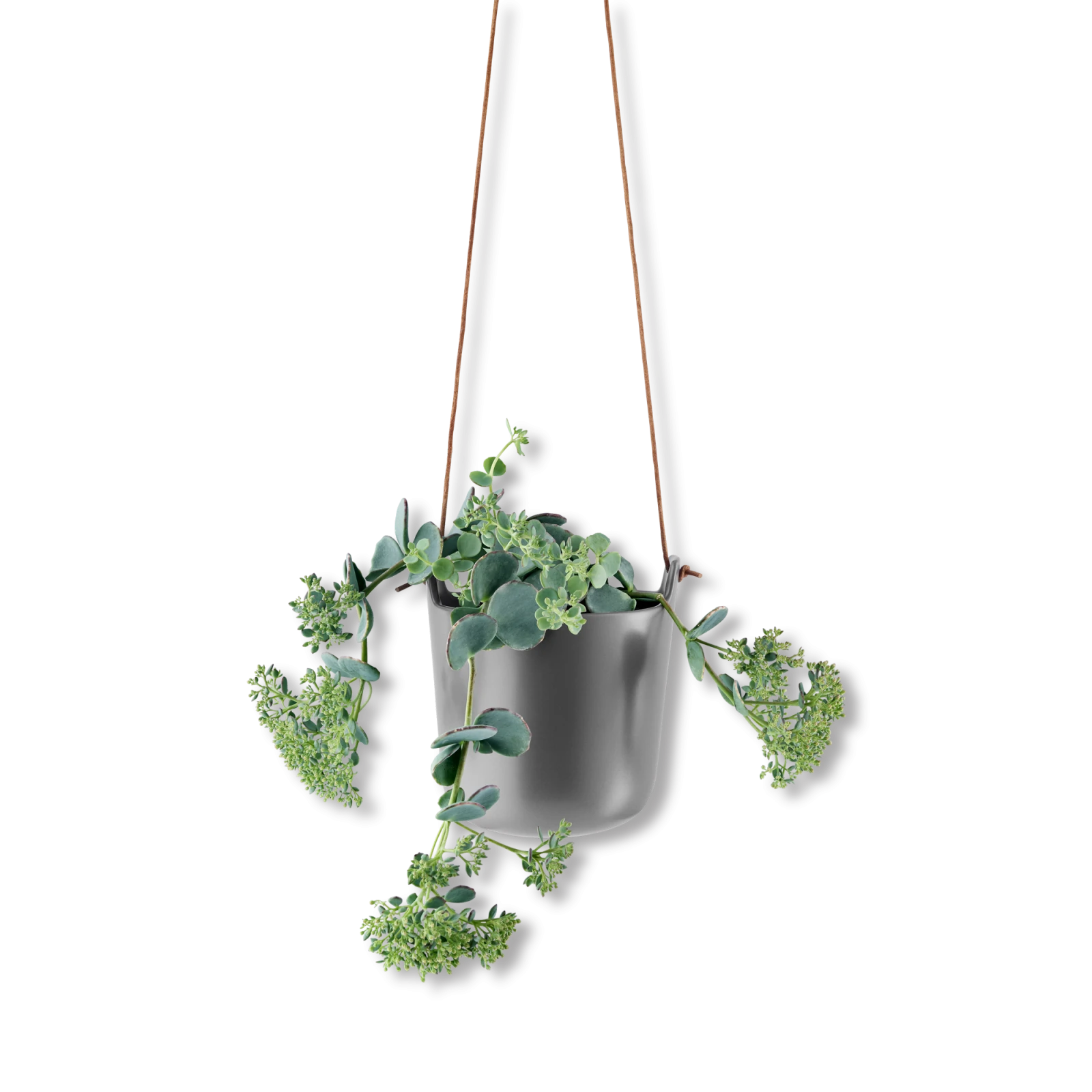 selfwatering-hanging-pot-grey-1