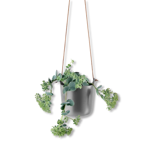 Selfwatering Hanging Pot