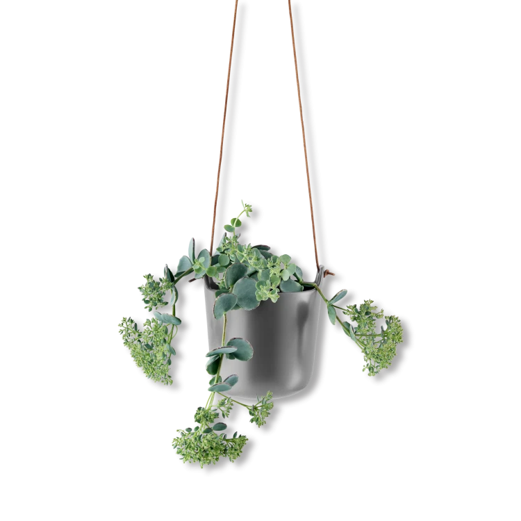 selfwatering-hanging-pot-grey-1