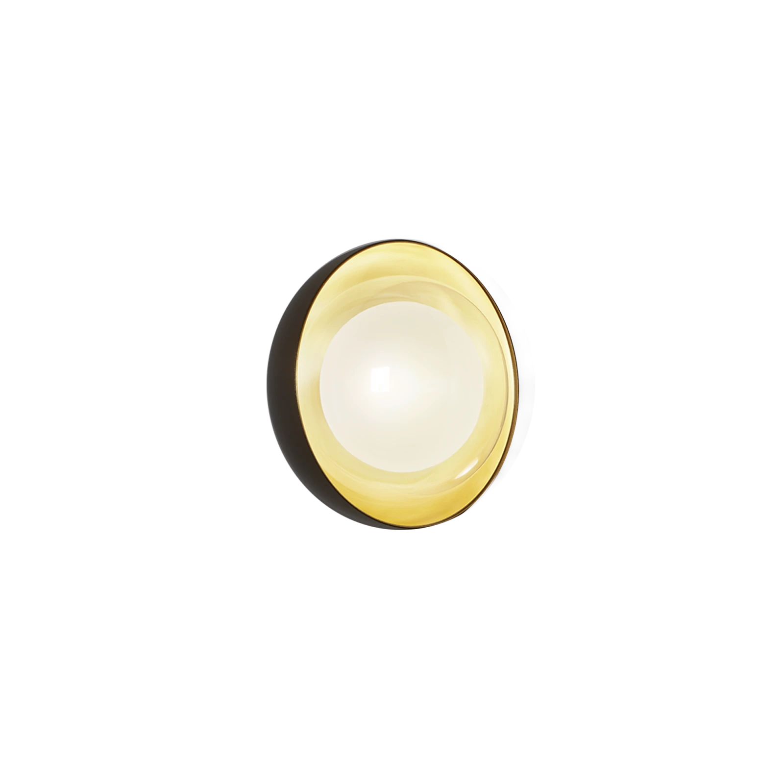 tooy-muse-554.72-1