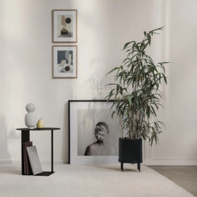 lifestyle picutures