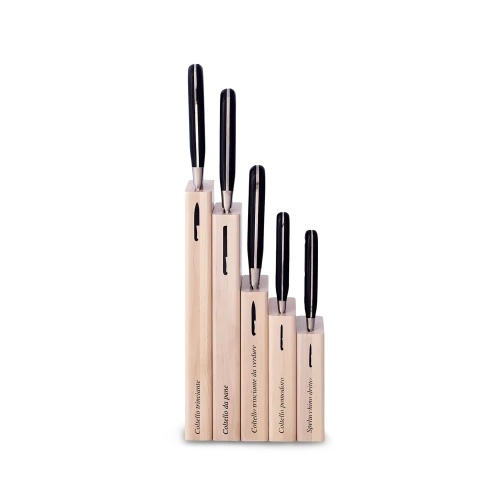 Insieme Kitchen Knife Set of 5, Black Lucite