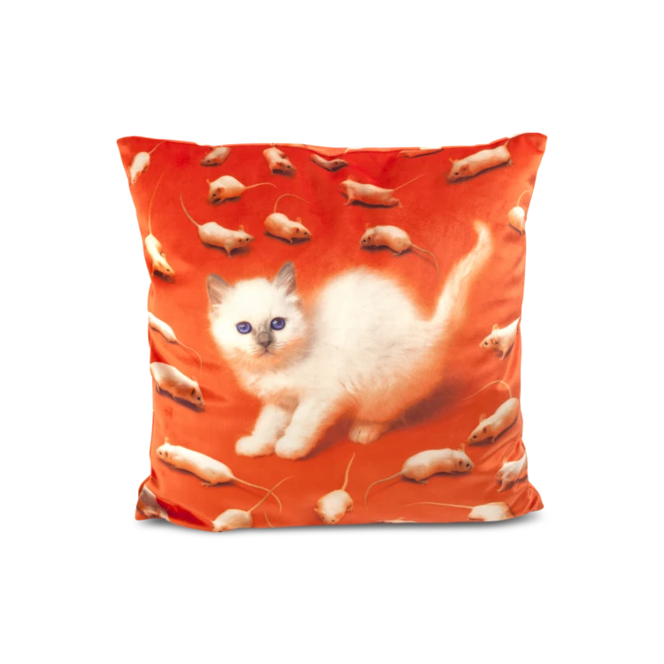 kitten-pillow
