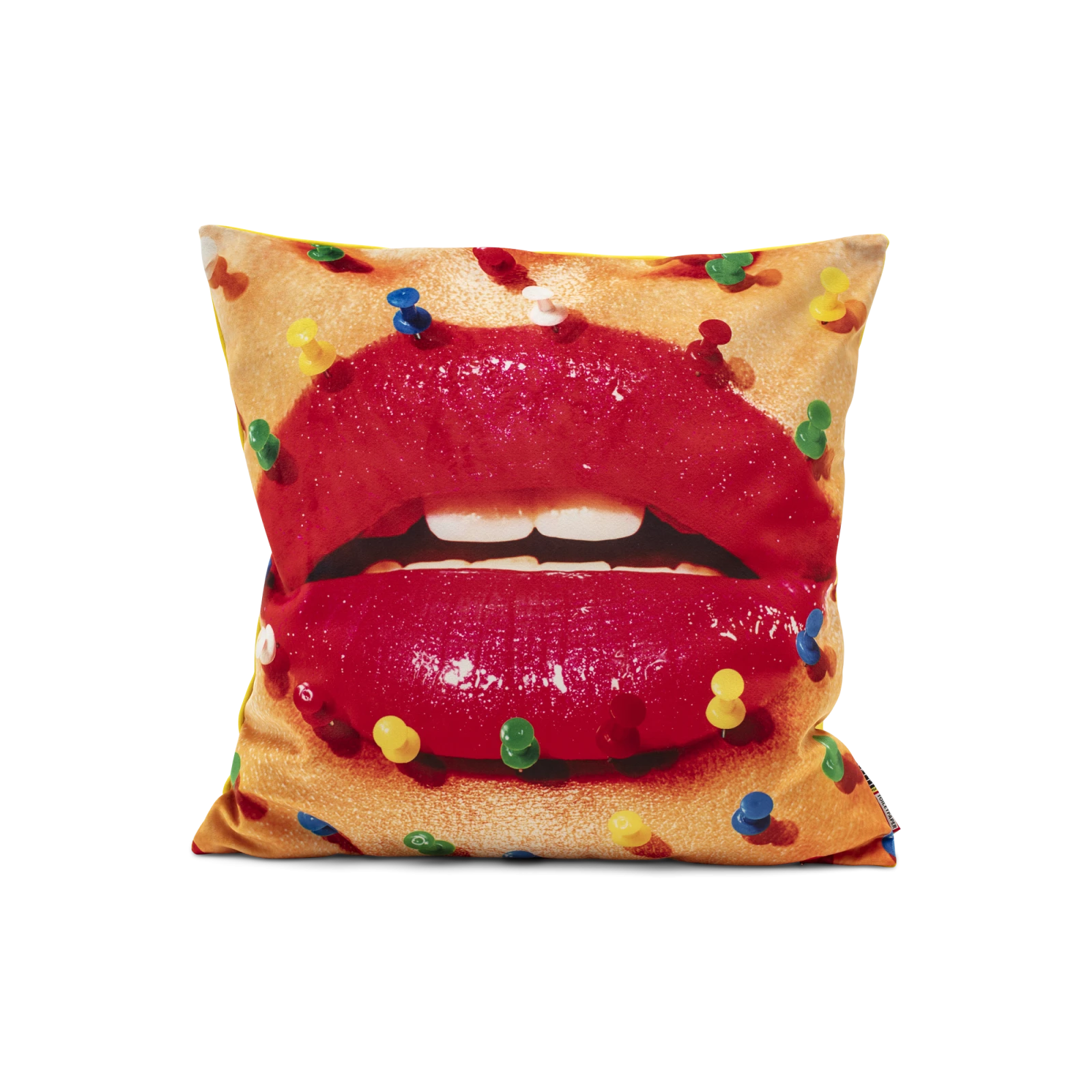 mouth-with-pins-pillow