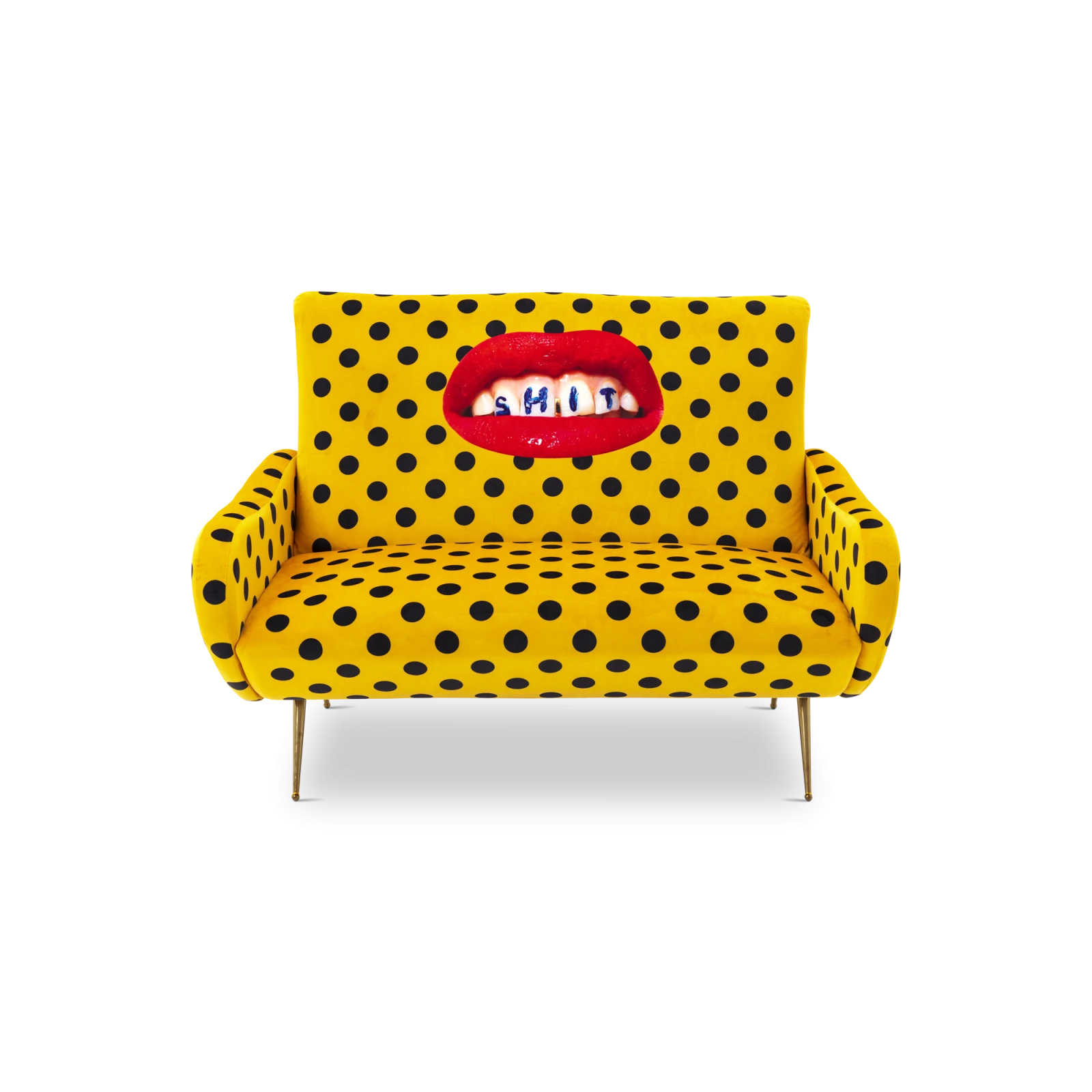 shit-sofa-two-seater