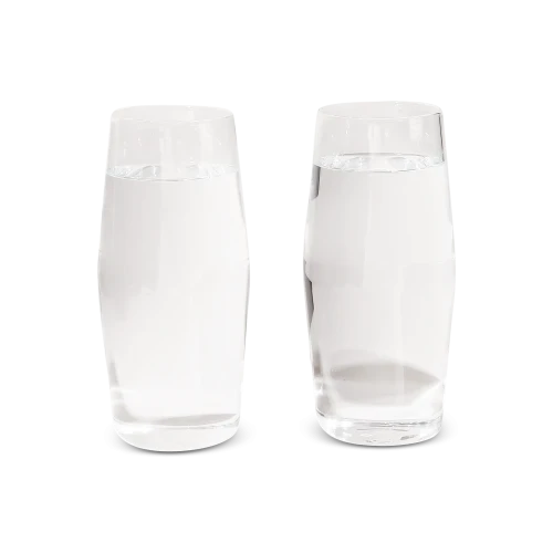 Century 16 oz Glasses - Set of Two, Clear
