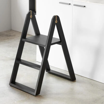reech-stepladder-2