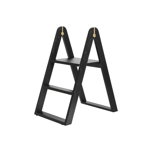 Reech Stepladder