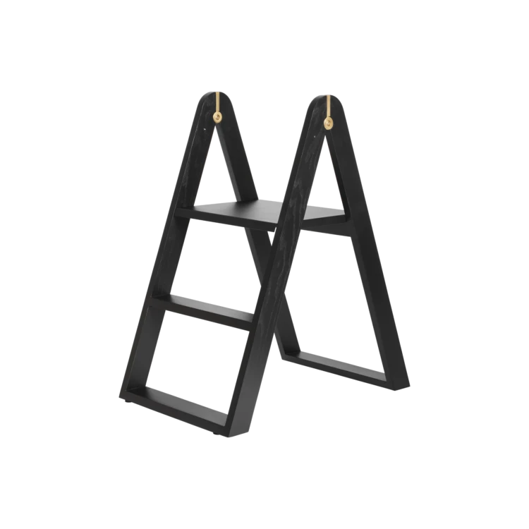 reech-stepladder
