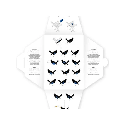 blackbird-3