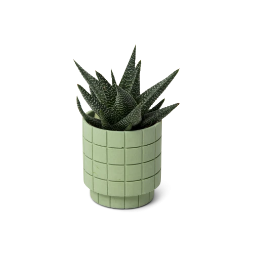 Tile Plant Pot