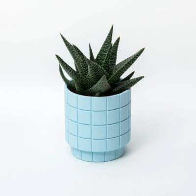 tile-square-plant-pot-1