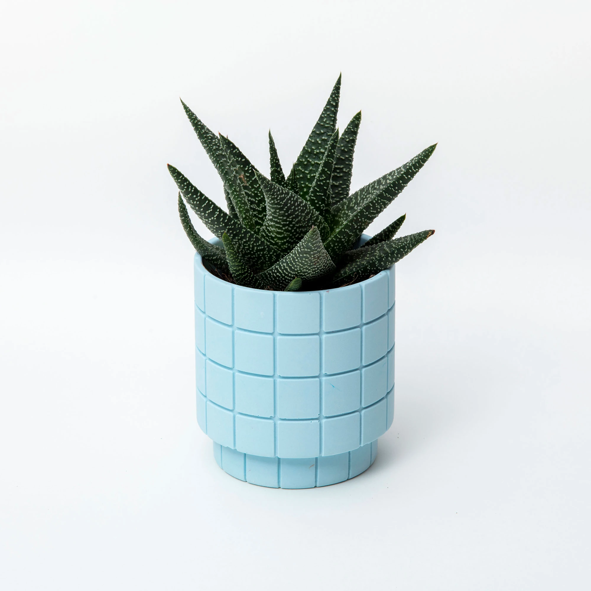  Swimming Pool Blue