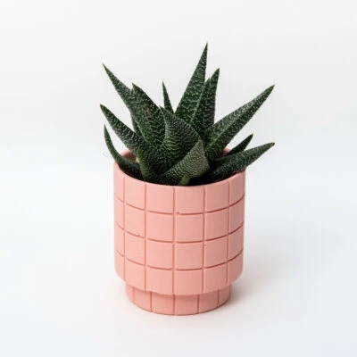 tile-square-plant-pot-5