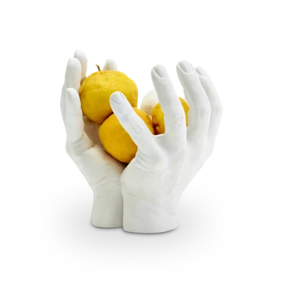 hand-bowl-areware-gessato-0