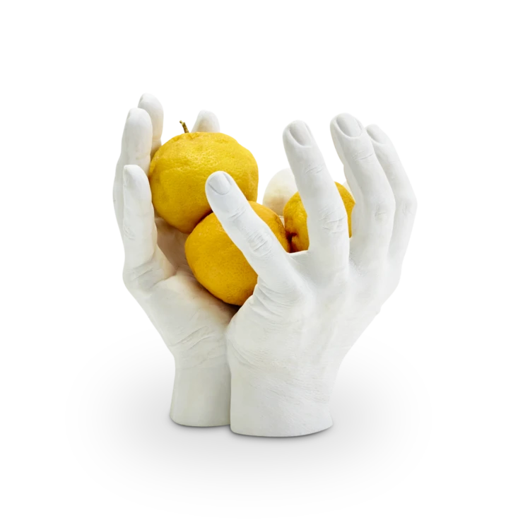 hand-bowl-areware-gessato-0