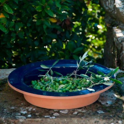 novi-fruit-bowl-blue-1
