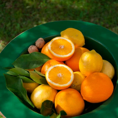 novi-fruit-bowl-green-2