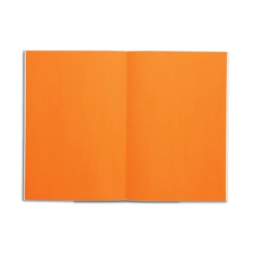 ndp-notebook-orange-pages-303