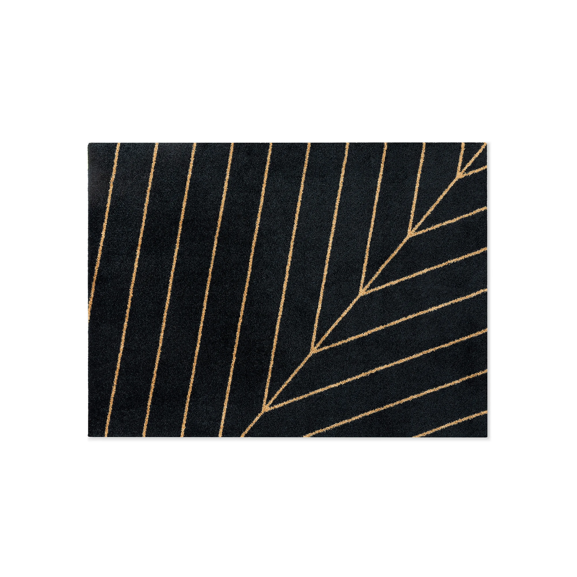  3' x 4'