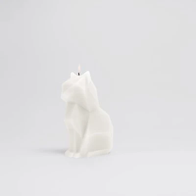 cat-candle-12
