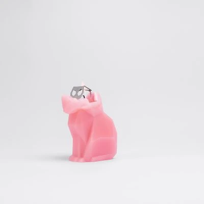 cat-candle-15