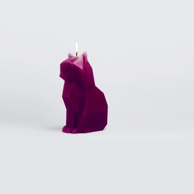 cat-candle-8