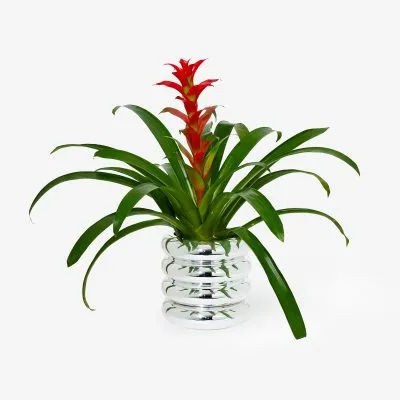 Stacking Planter – Tall, Chrome - Gessato Design Store