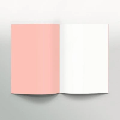 Gingko Pop Scketchbook - Valencia - Gessato Design Store