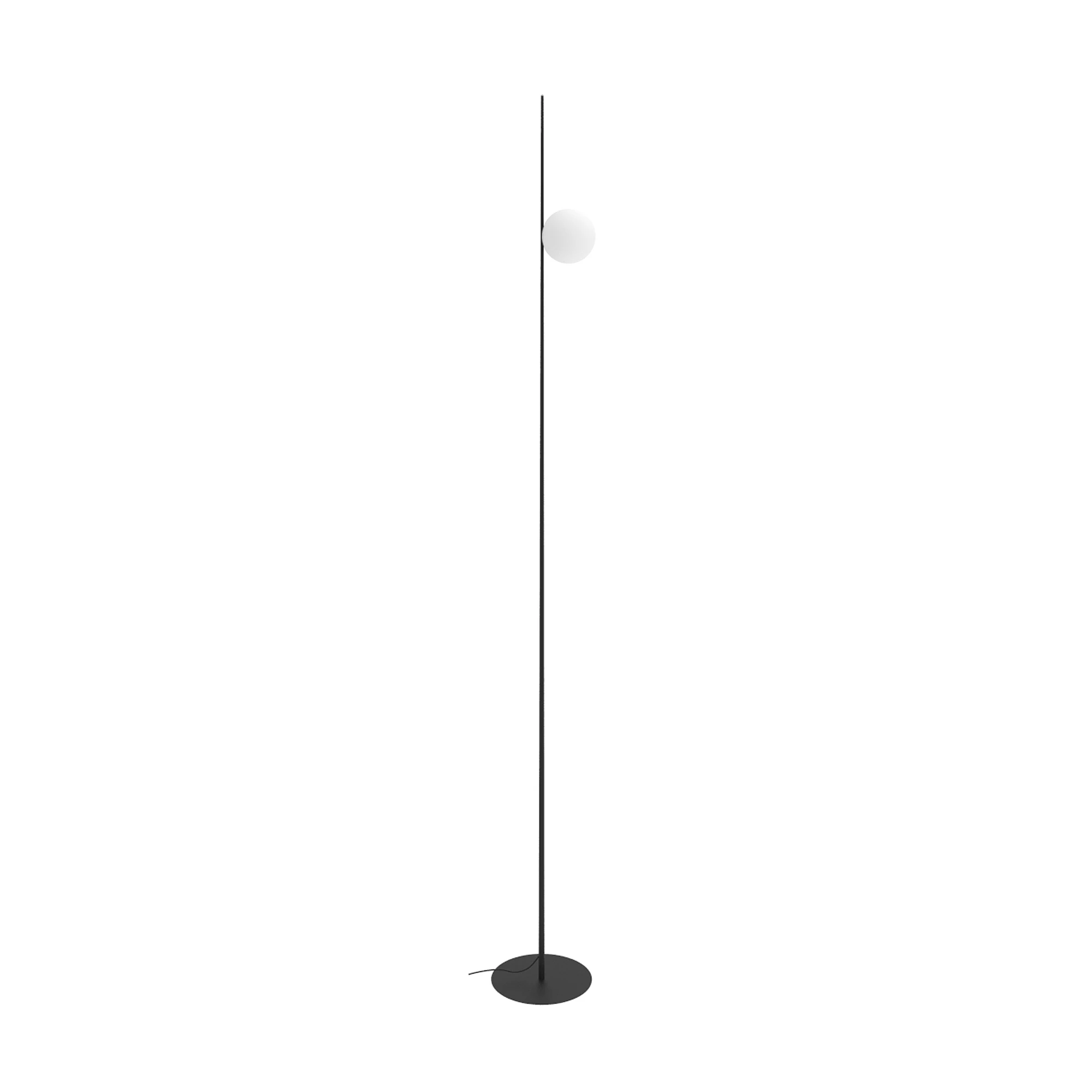 Indoor, Large