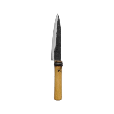 Master Shin's Anvil Sashimi Knife - Gessato Design Store