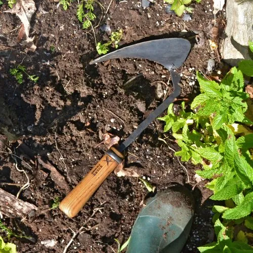 Master Shin's Anvil Weeding Hoe, Large - Gessato Design Store