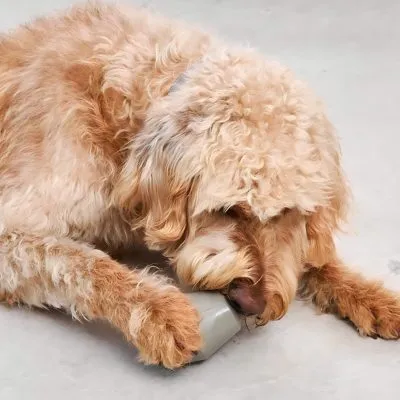 Cono Minimalist Dog Toy - Gessato Design Store