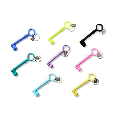 Skeleton Key Keychain - Gessato Design Store