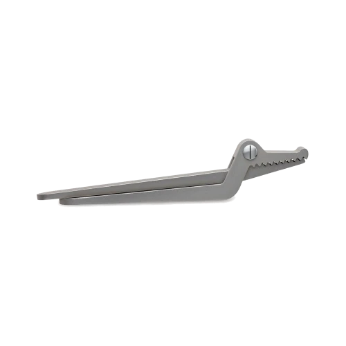 Sweetheart Crocodile Nutcracker - Gessato Design Store