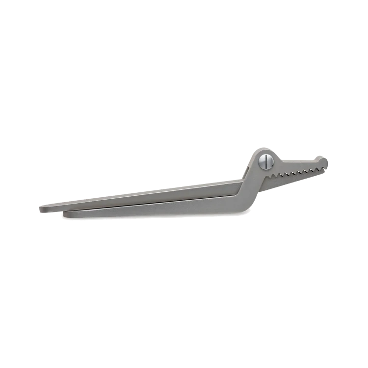 Sweetheart Crocodile Nutcracker - Gessato Design Store