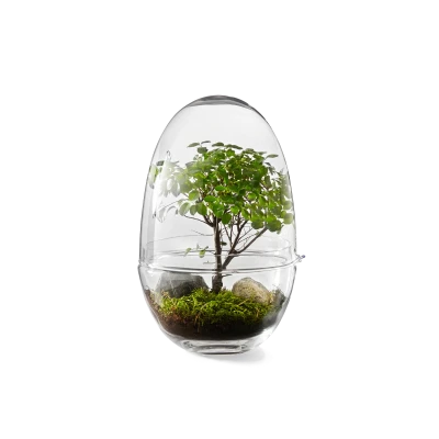 Grow Greenhouse, Glass Terrarium with Lid - Gessato Design Store