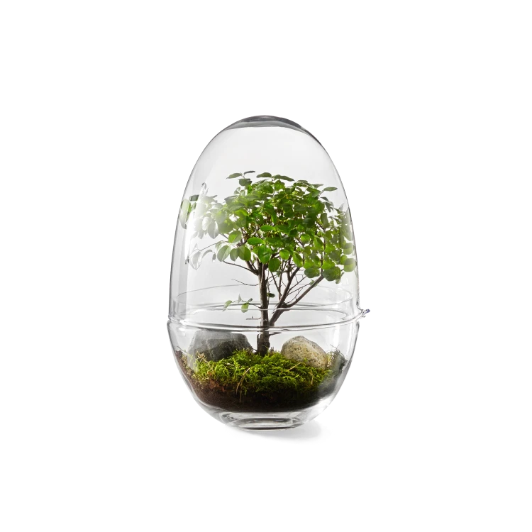 Grow Greenhouse, Glass Terrarium with Lid - Gessato Design Store