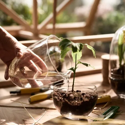Grow Greenhouse, Glass Terrarium with Lid - Gessato Design Store