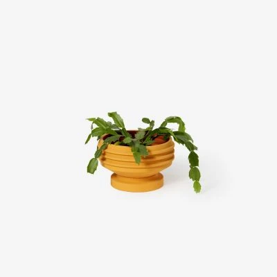 Strata Ceramic Planters - Gessato Design Store