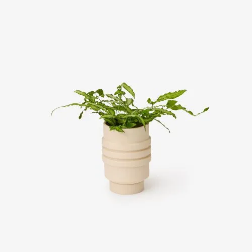 Strata Ceramic Planters - Gessato Design Store